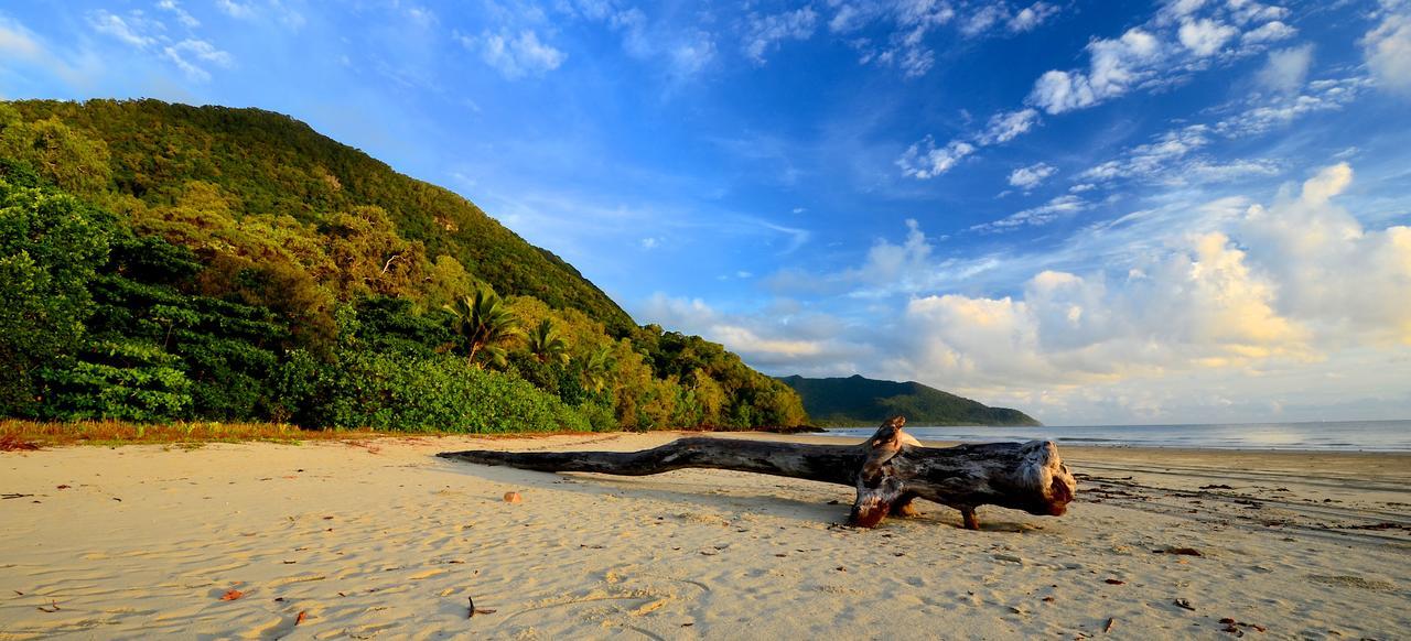 Villa Daintree Rainforest Beach House à Diwan Extérieur photo