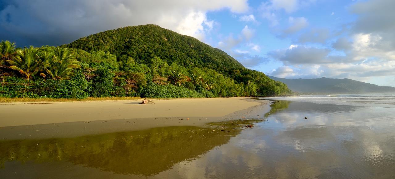 Villa Daintree Rainforest Beach House à Diwan Extérieur photo